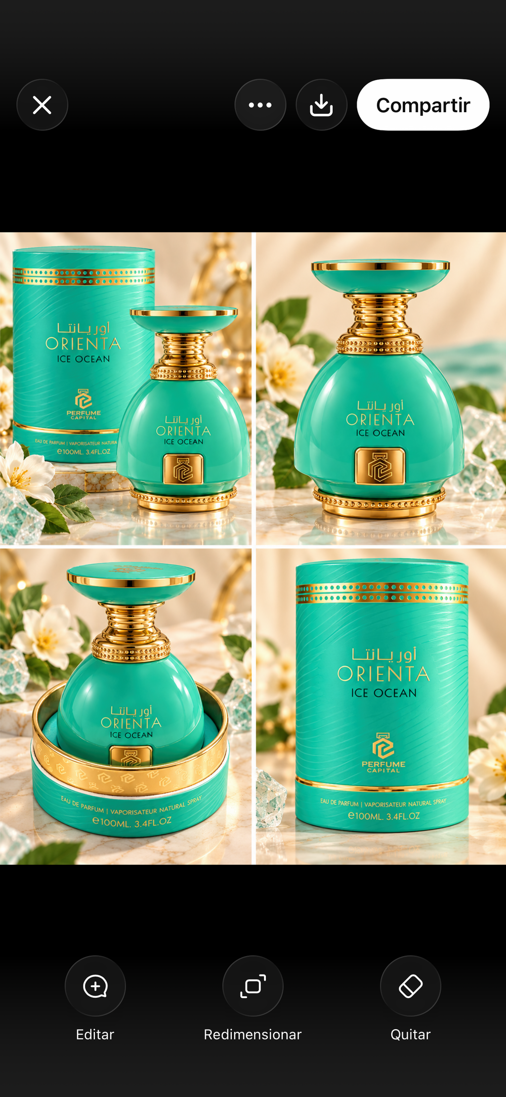 ORIENTA ICE OCEAN